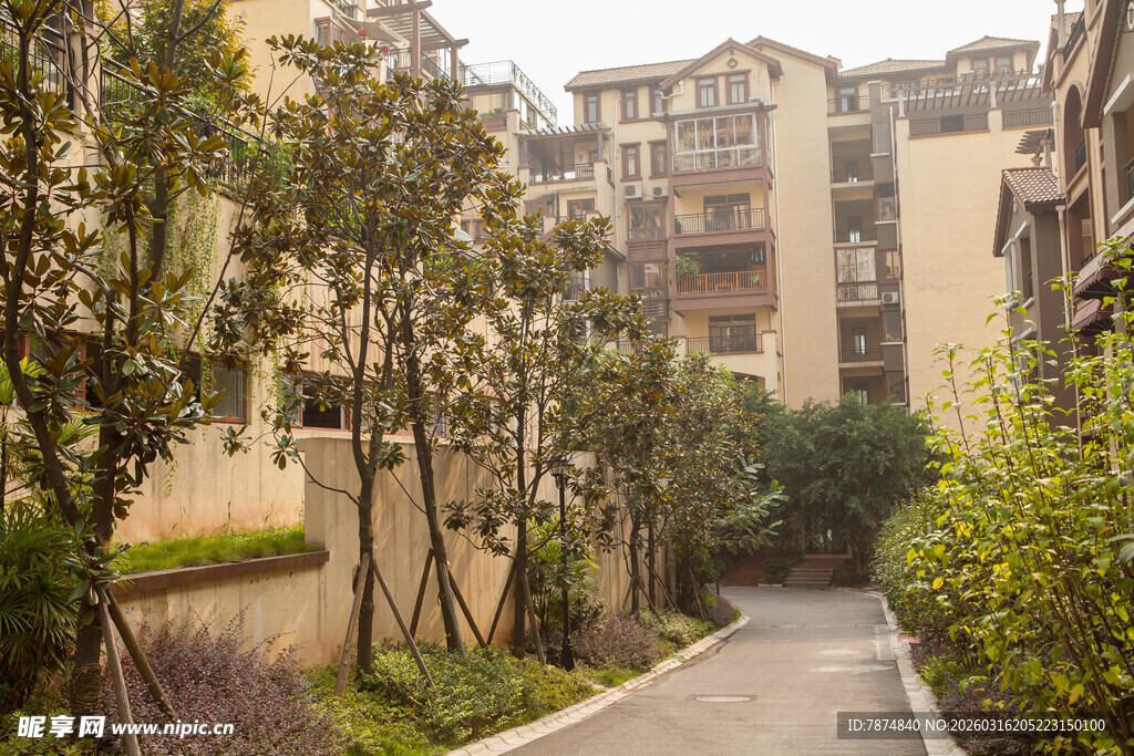 小区内幽静的林荫小道