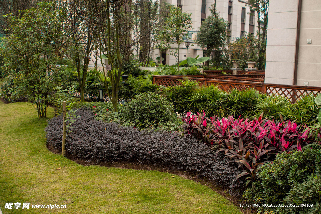 花园中的多彩植物景观