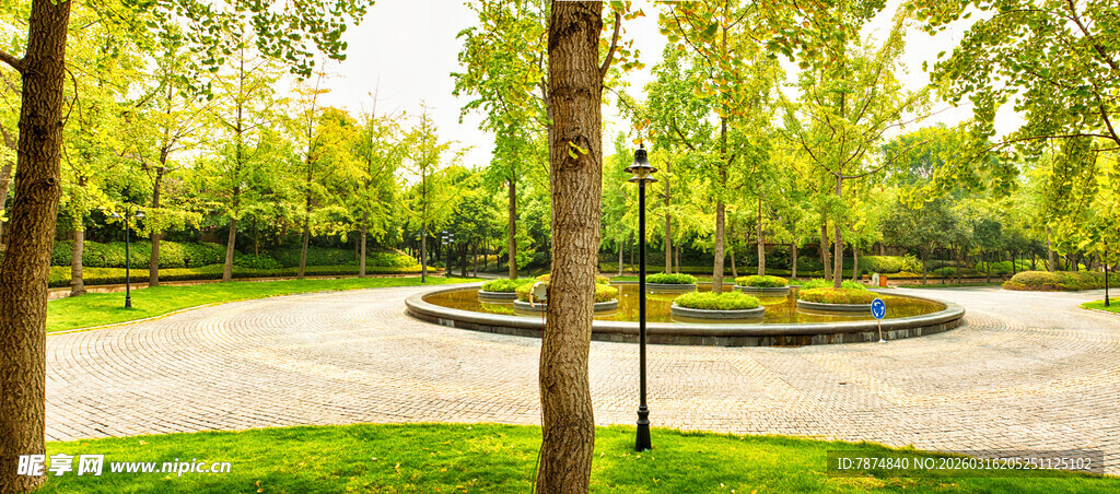 城市公园中的绿意景观