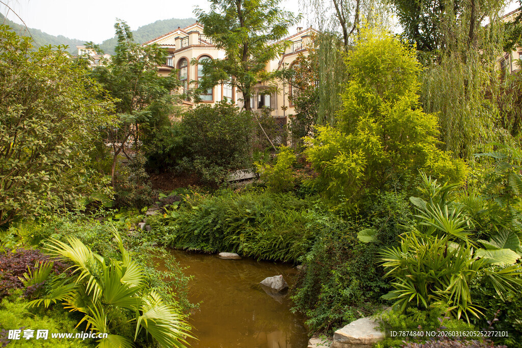 静谧自然的溪边花园景观