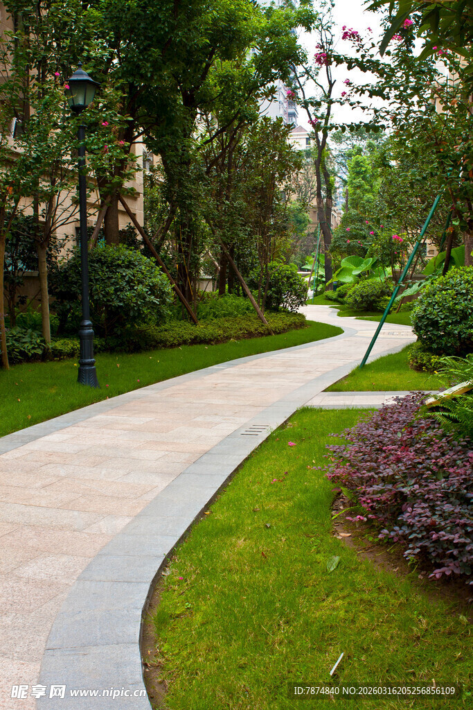 小区优美林荫步道景观