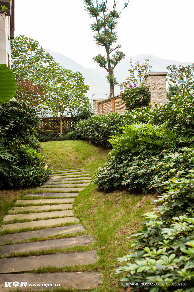 庭院石板小径绿植环绕