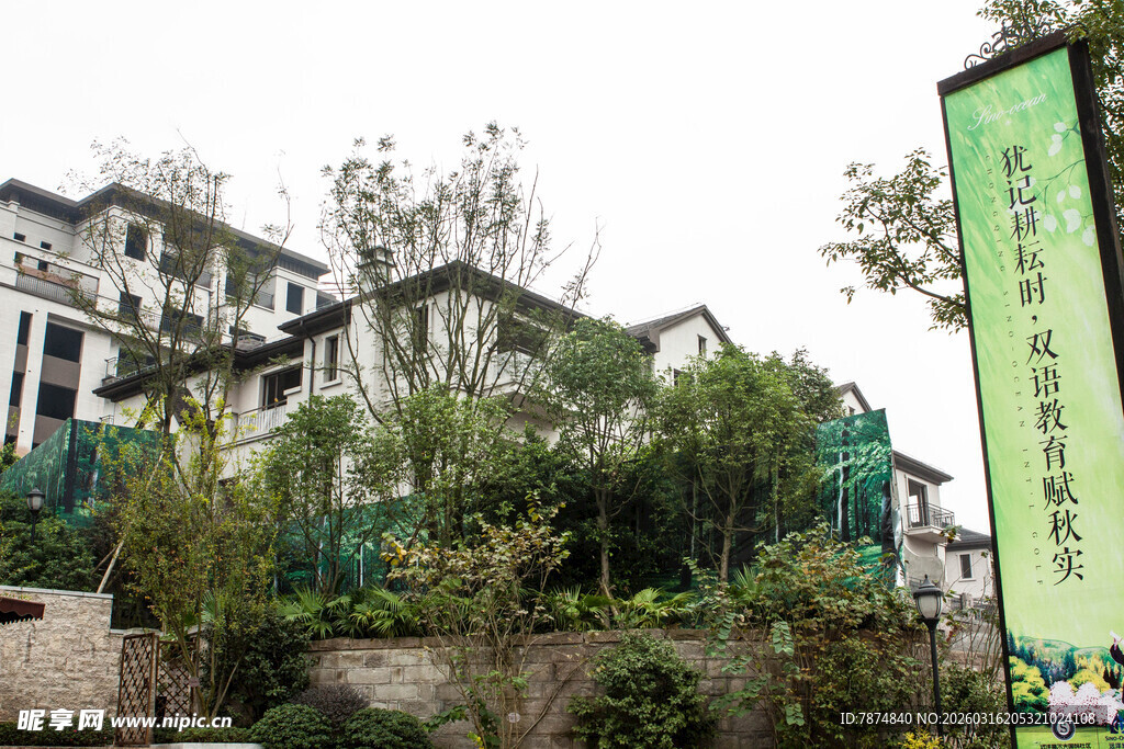 现代别墅旁的绿植景观