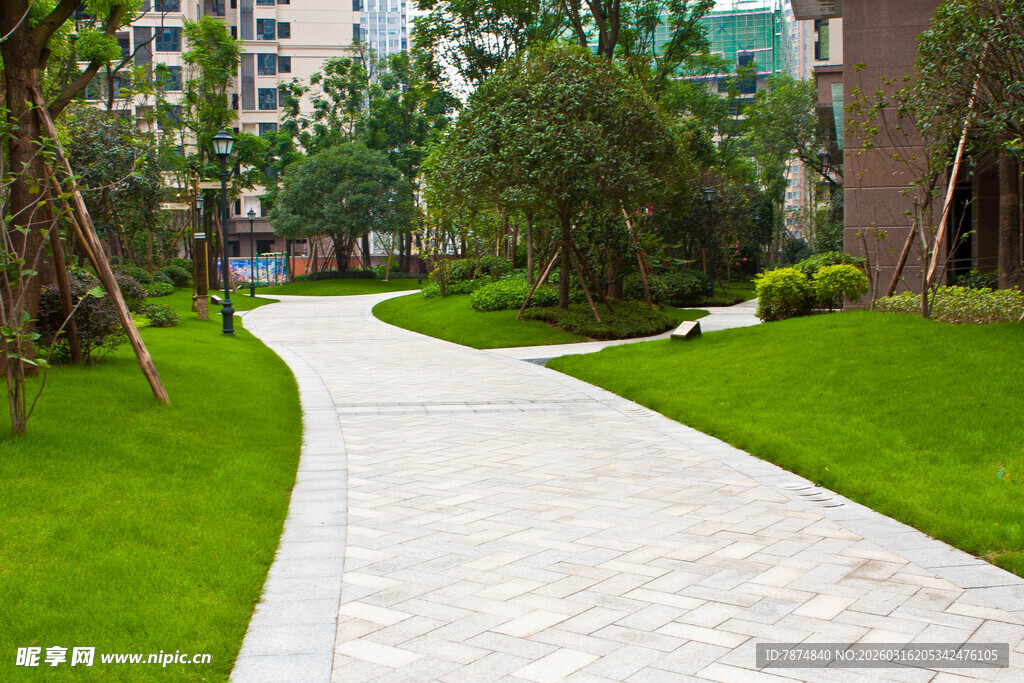 小区内的优美林荫步道