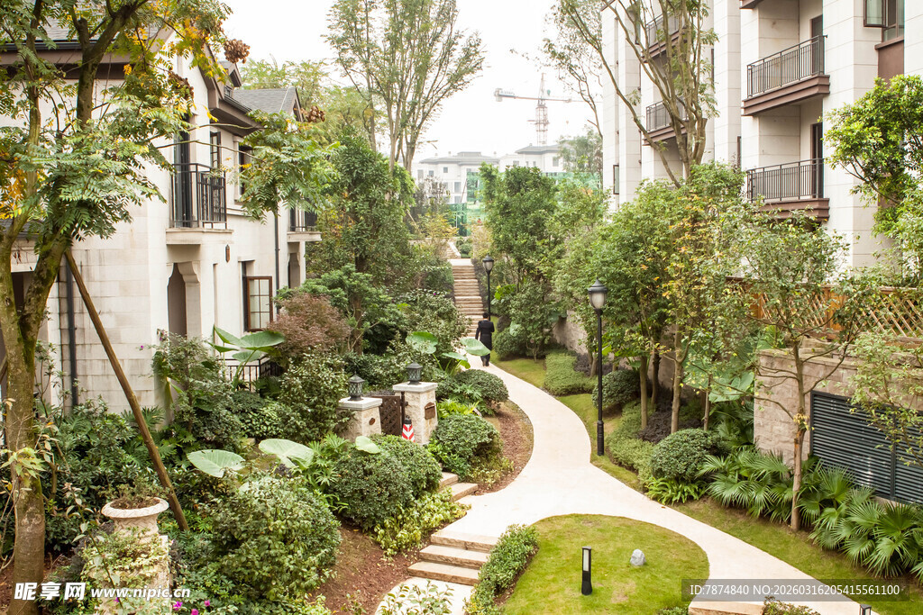 庭院绿植环绕的静谧小径