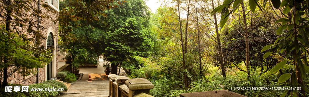 静谧迷人的庭院绿植景观