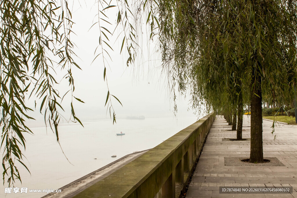 湖畔垂柳下的静谧步道