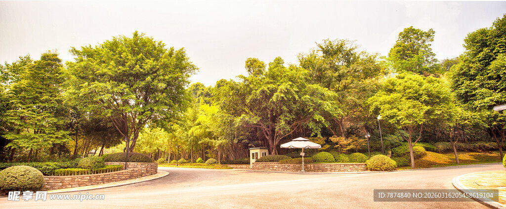 绿意盎然的户外休闲场景