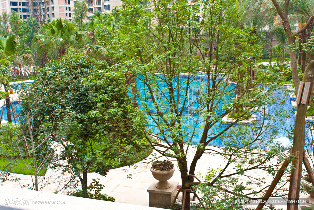 小区内的绿植与泳池景观