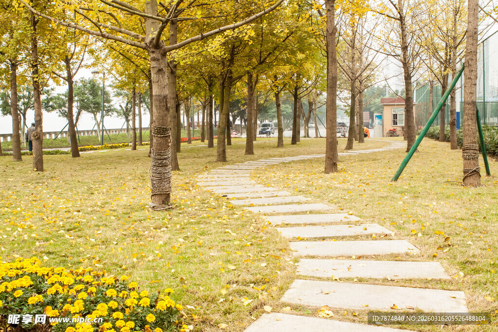 秋日林间小径 景致迷人