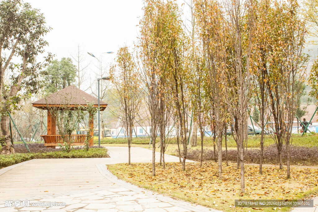 秋日公园静谧景致