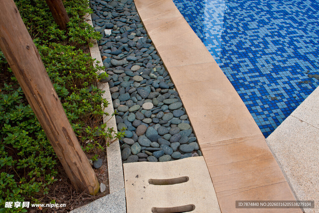 庭院泳池边的精致景观