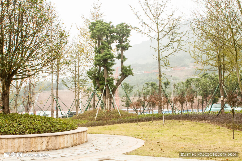 公园林荫步道景观