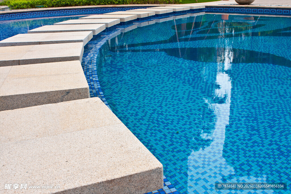 清澈泳池边的美丽景致