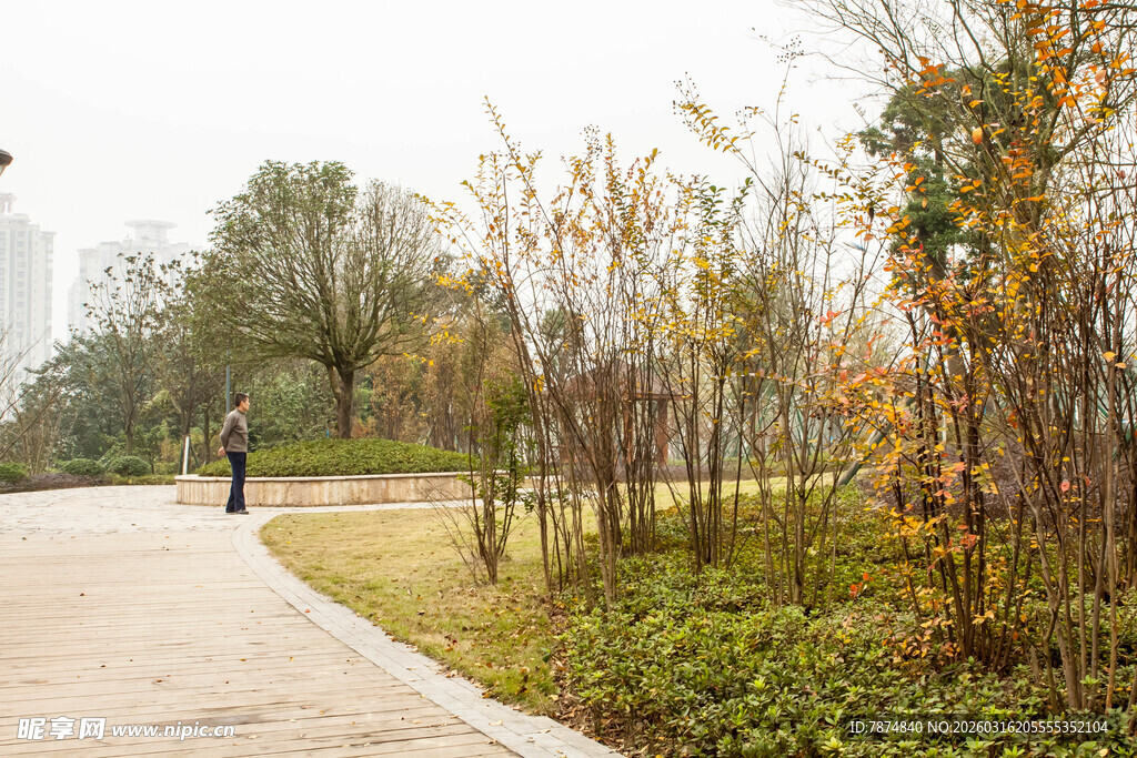 秋日林间漫步小道