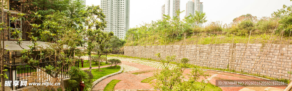 城市中的绿植景观空间