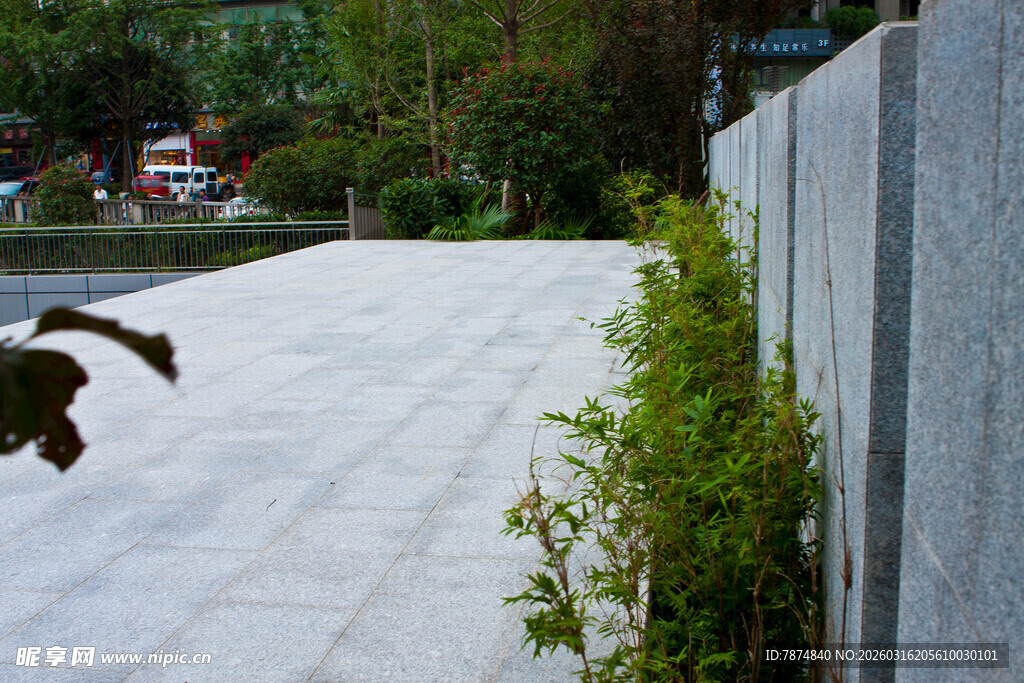 庭院石径旁绿植与飞鸟