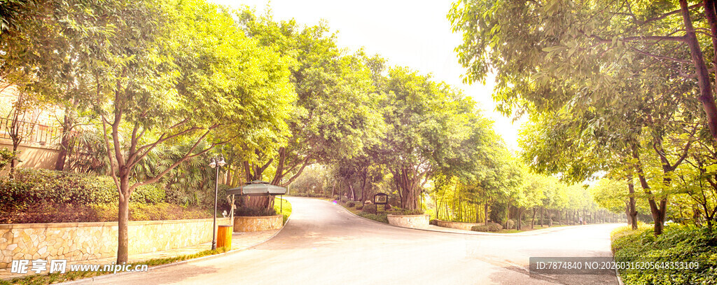 林荫小道 静谧自然风光