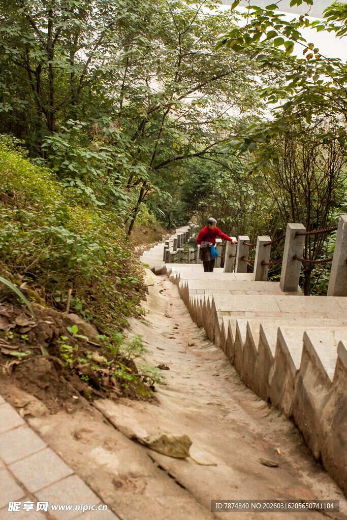 山间步道上的行人与绿植
