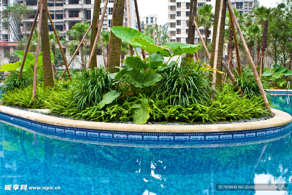 泳池边的绿植景观