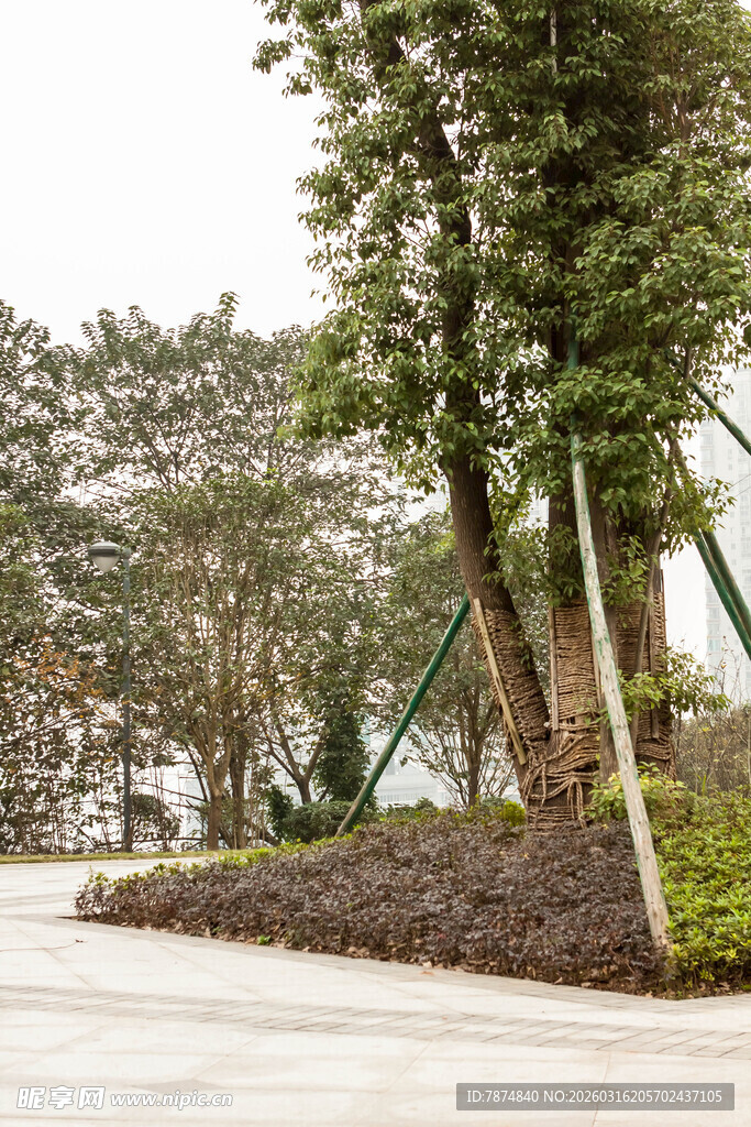 户外绿植景观一角