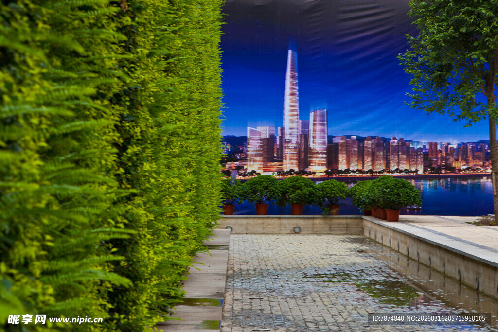 城市绿植旁的璀璨夜景