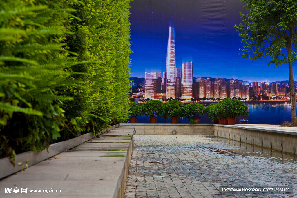 城市绿荫下的河畔迷人夜景