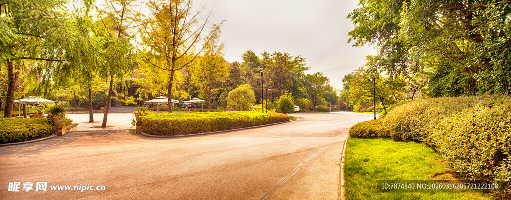 秋日林间蜿蜒的静谧道路