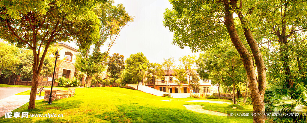 绿意盎然的公园美景