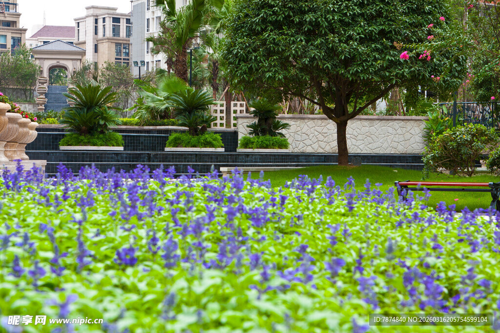 城市中绚烂的花草景观