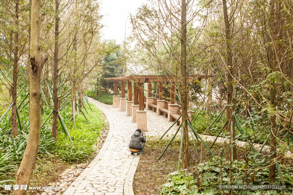 林间小径骑行的惬意画面