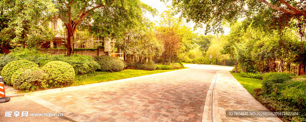 阳光洒落的林间静谧小道