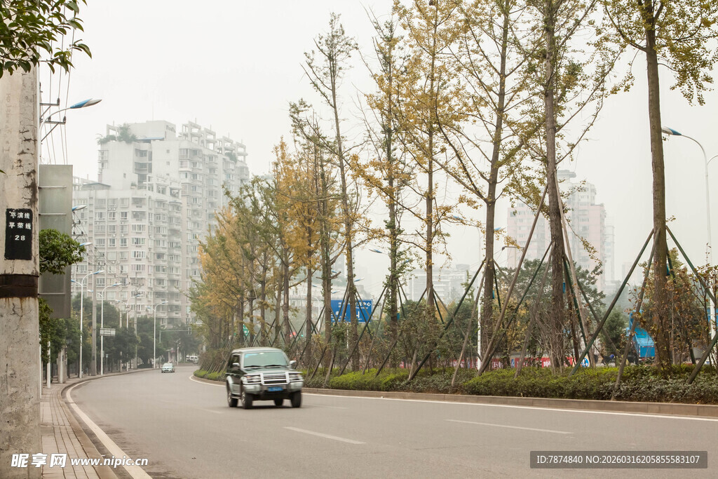 城市道路上的行驶车辆