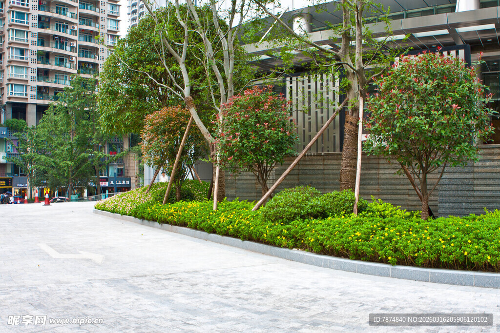 城市街边绿植景观