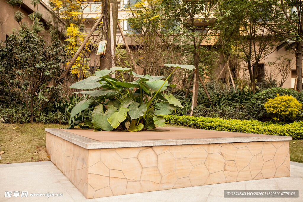 庭院中的方形绿植花坛