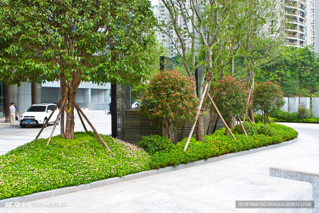 城市绿意盎然的景观步道