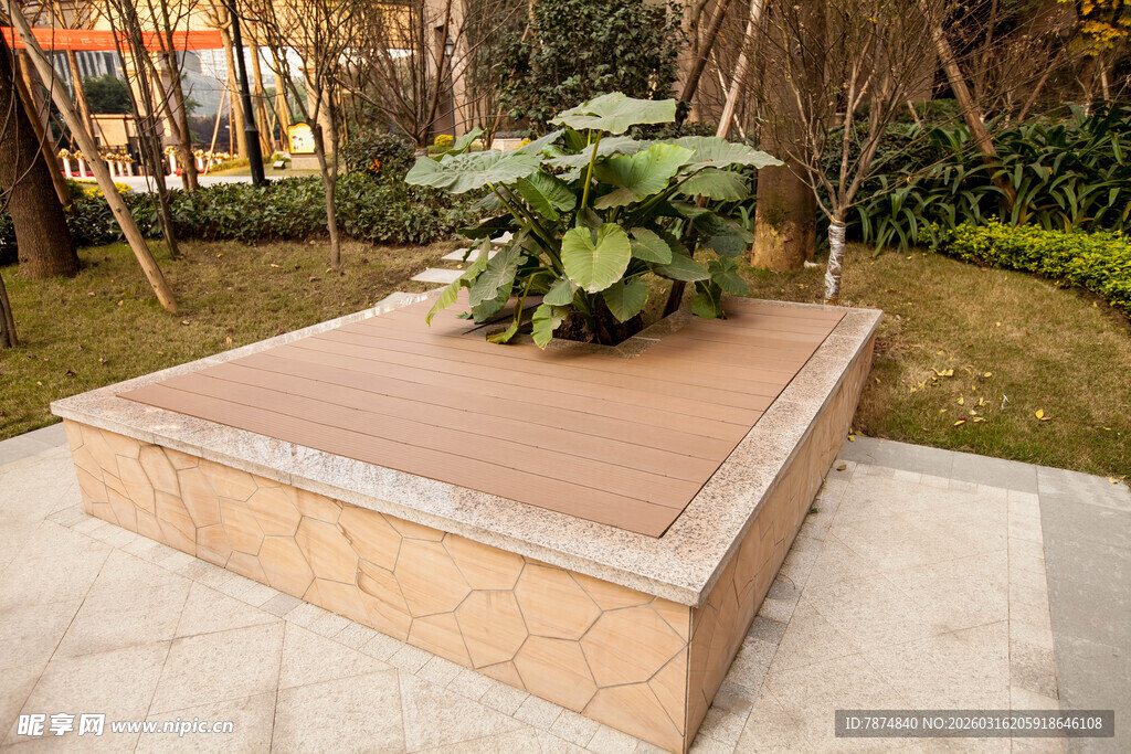 户外石台上的绿植景观