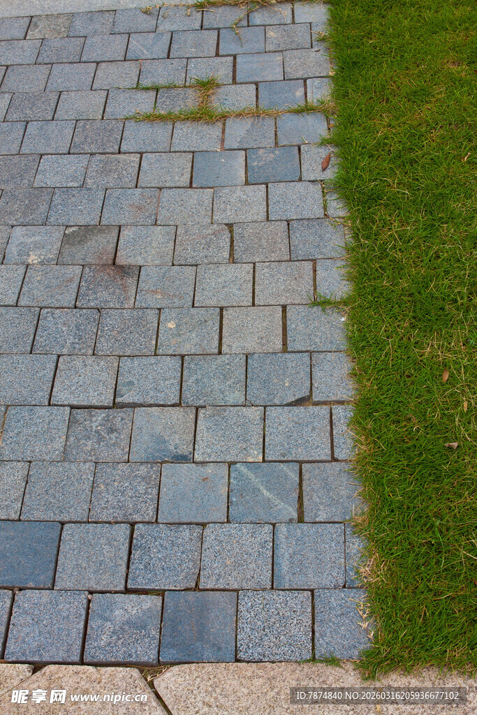 石板路与翠绿草坪相接