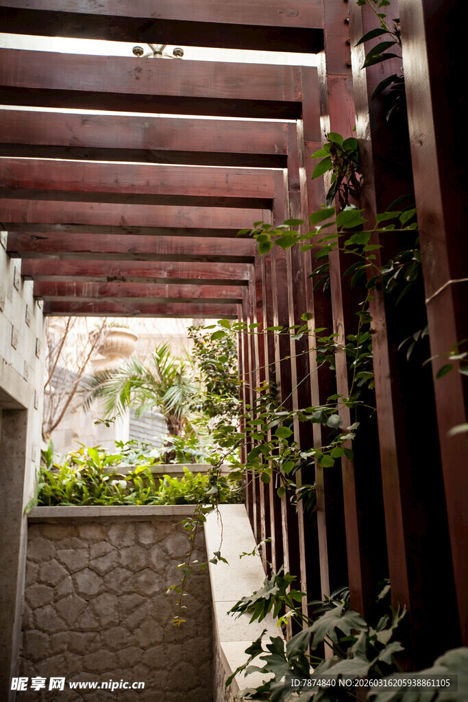 木质花架下的绿植景致