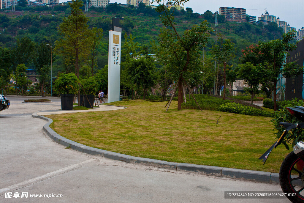 城市道路旁的绿植景观