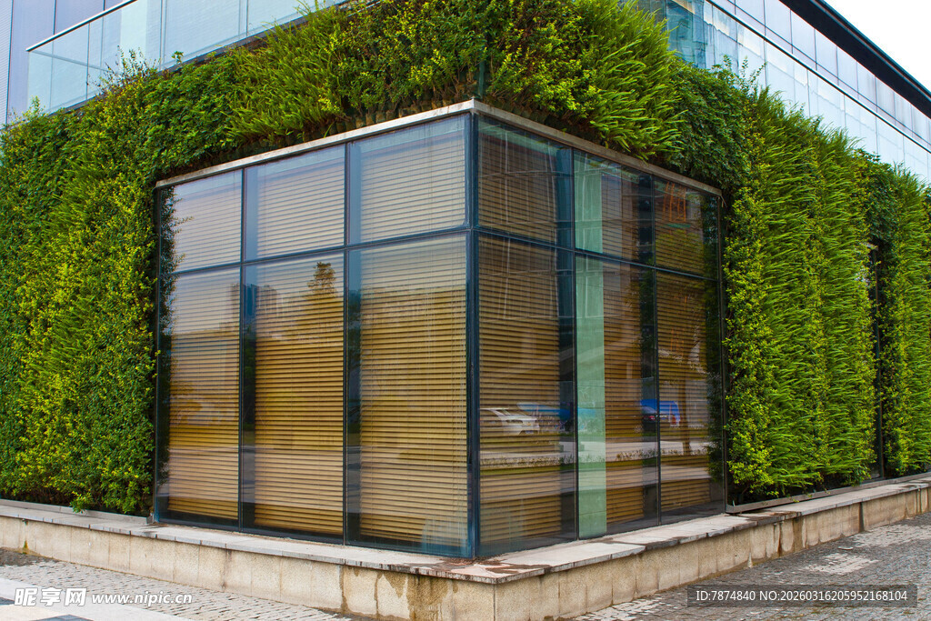 玻璃房外的垂直绿植景观