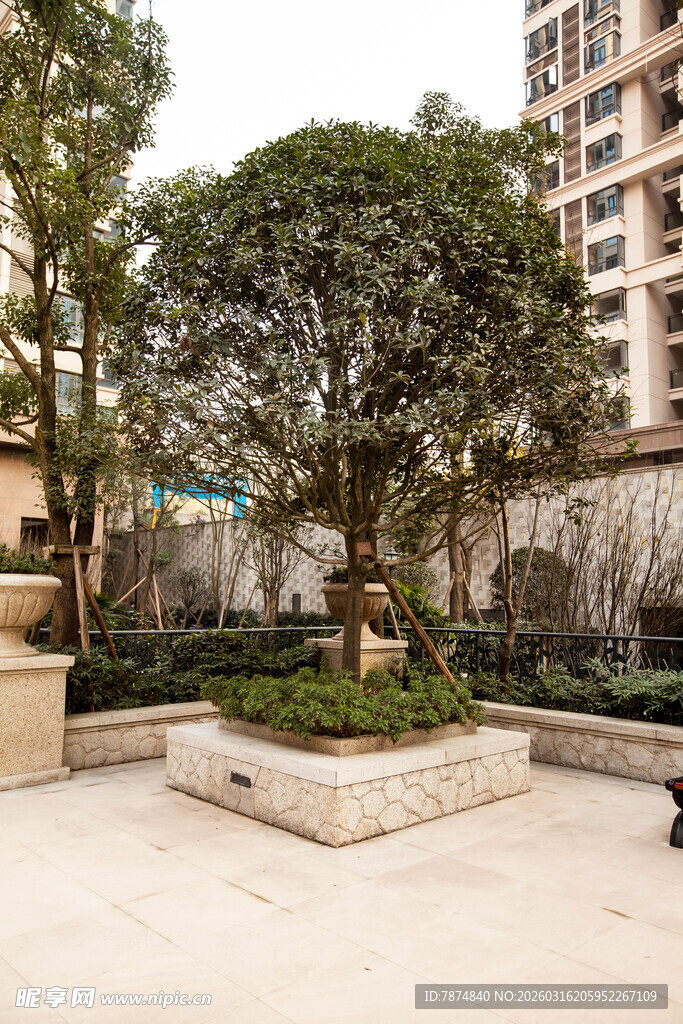 小区内的绿植景观