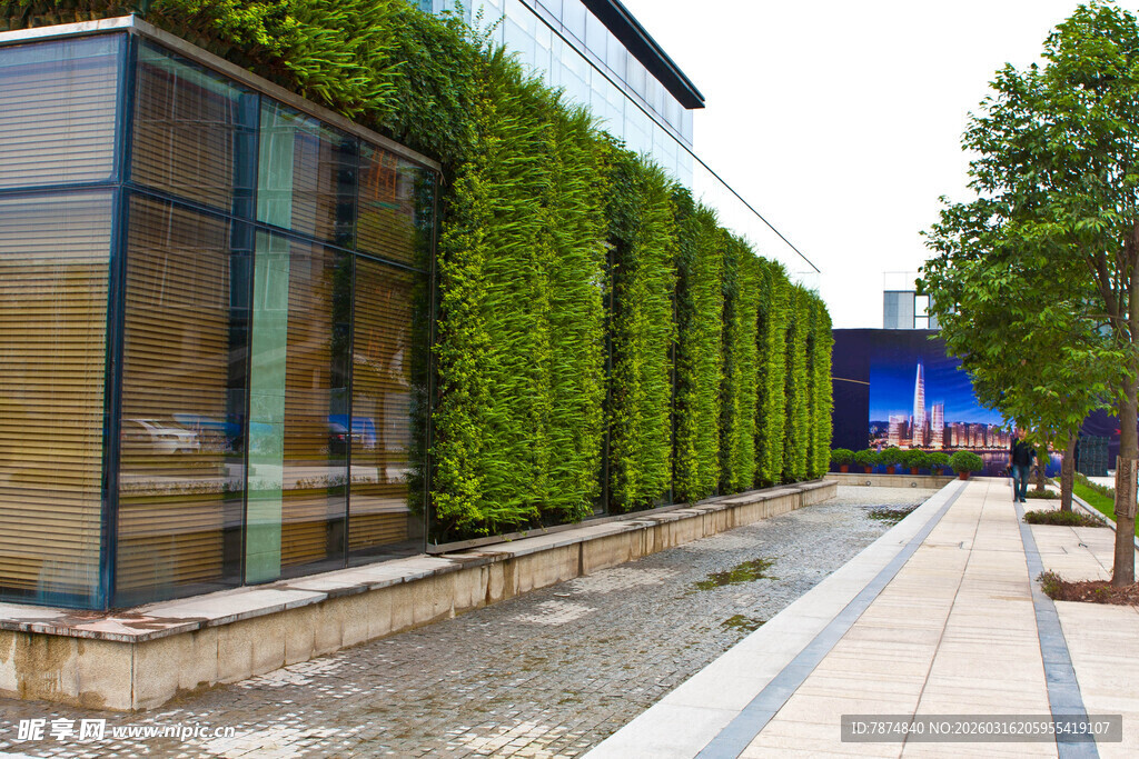 垂直绿植墙 城市绿意风景