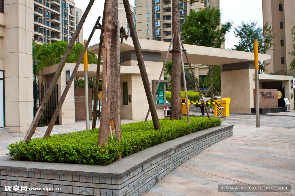 小区内精致绿植景观