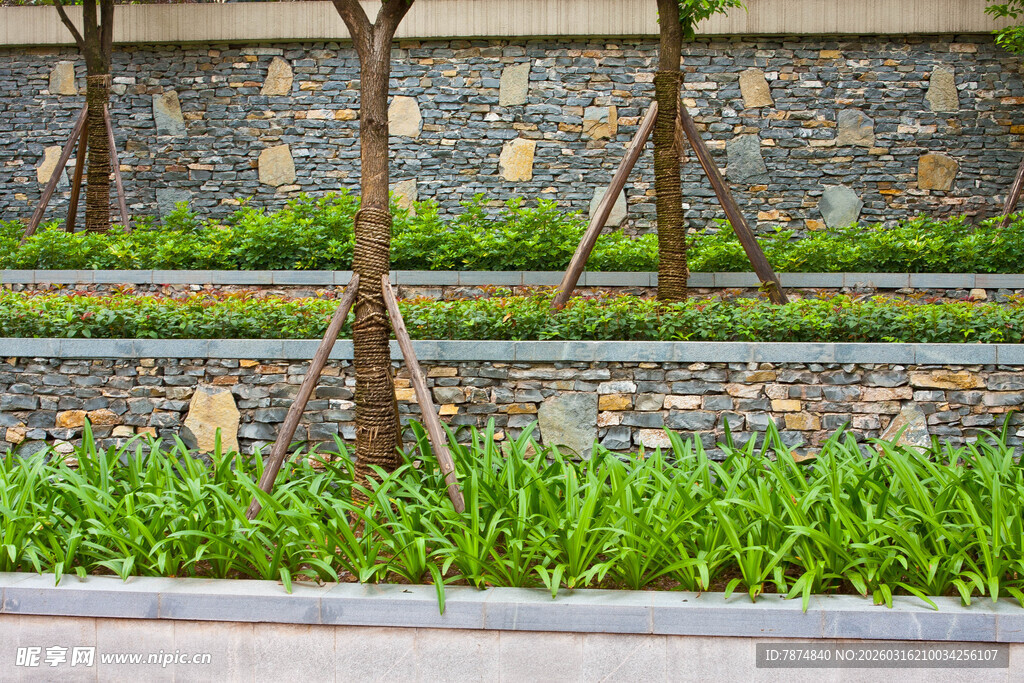 园林绿植与护树架景观