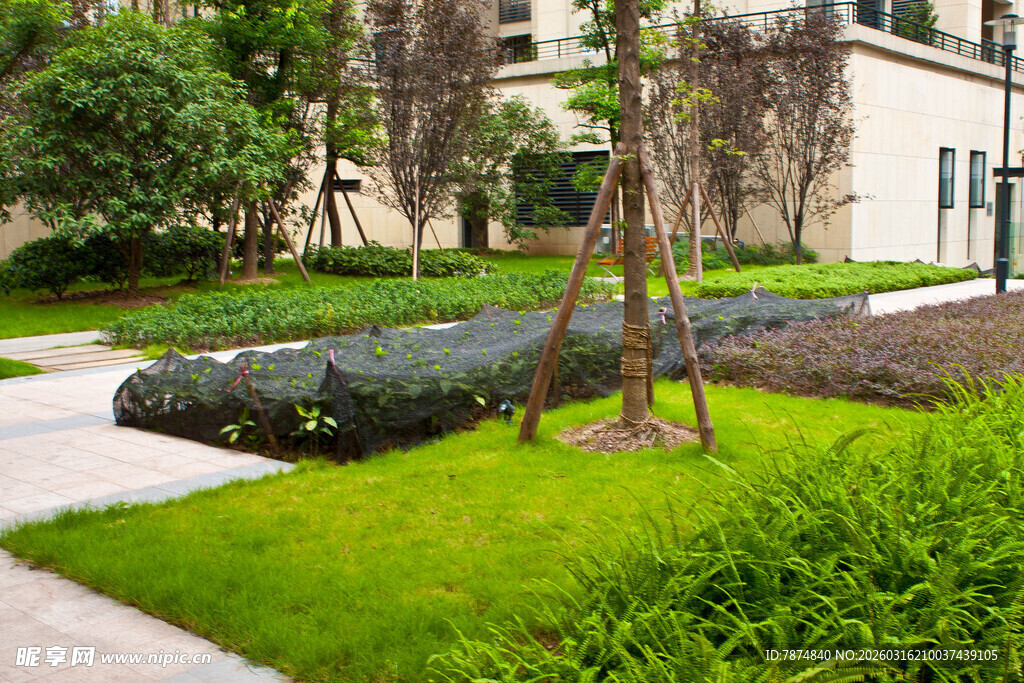 精致小区绿化景观一角