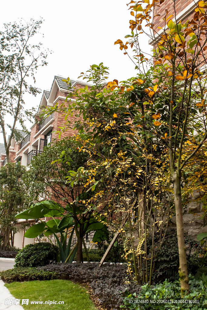 秋日庭院绿植景观