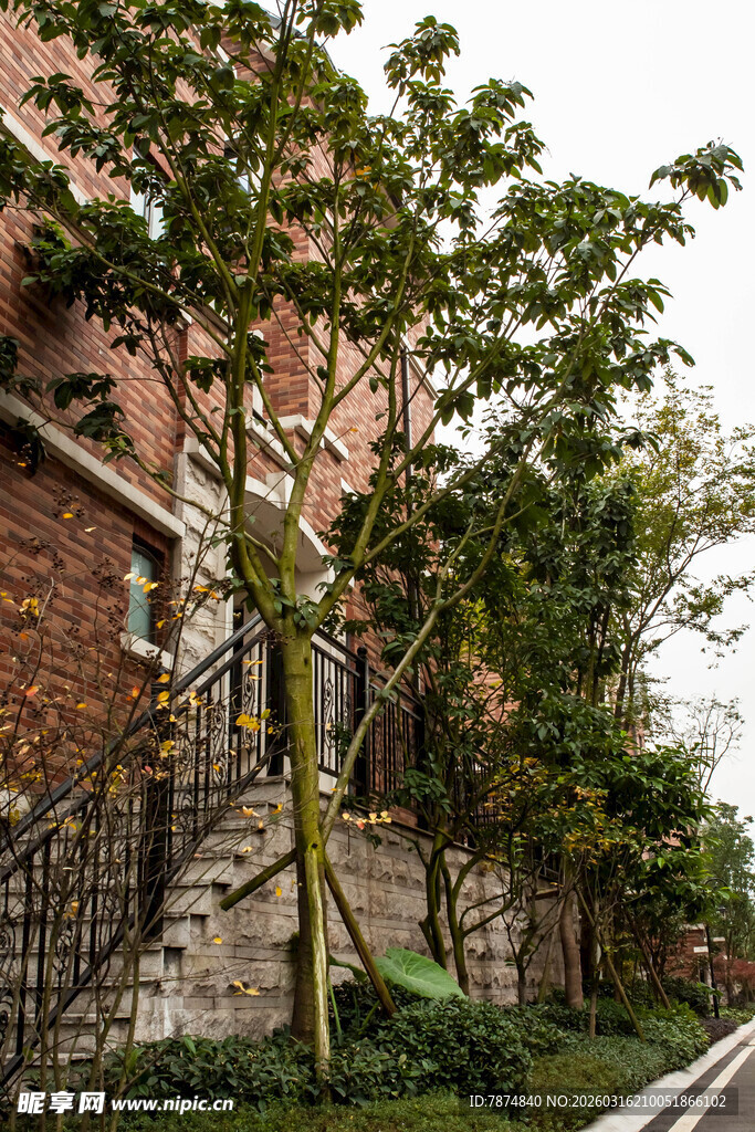 红砖建筑旁的绿植景观