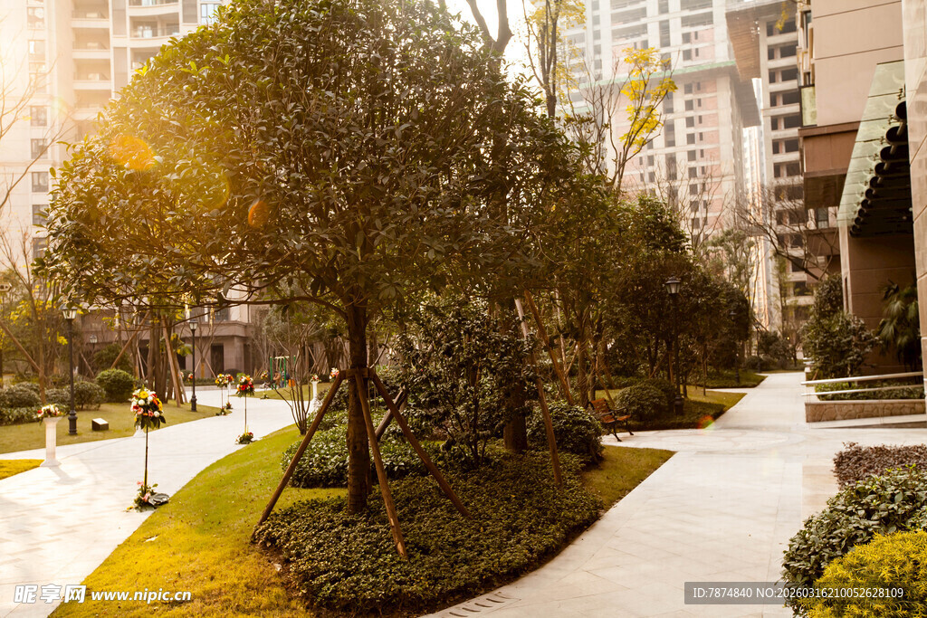 阳光照耀下的小区园林景观