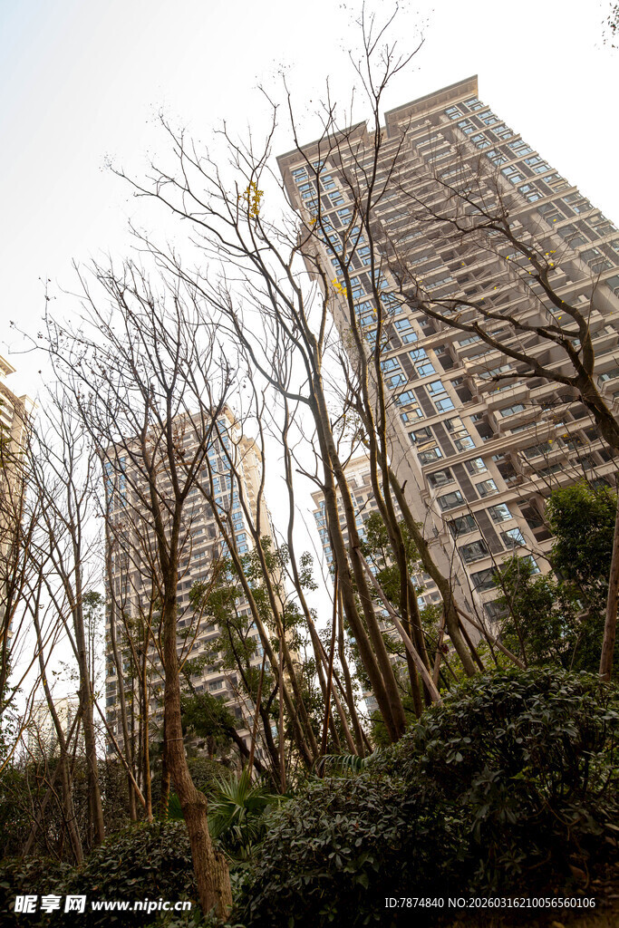 高楼林立于繁茂树木间